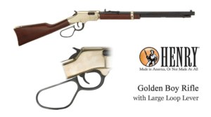 Buy Henry Golden Boy .17 HMR Lever Action Rifle with Large Loop Online